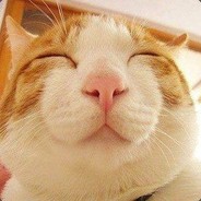 OverHypedFatCat